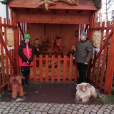 IMG_20251210_100953_resized_20251218_075726415