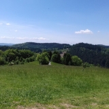 302462201